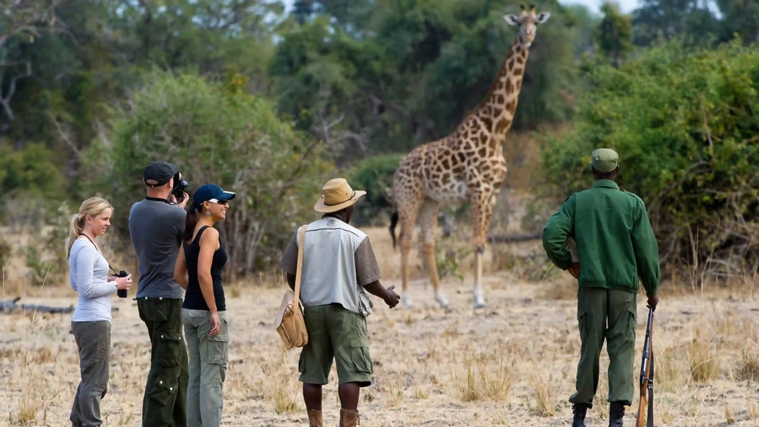 Kaingu Lodge Safari Contrasts