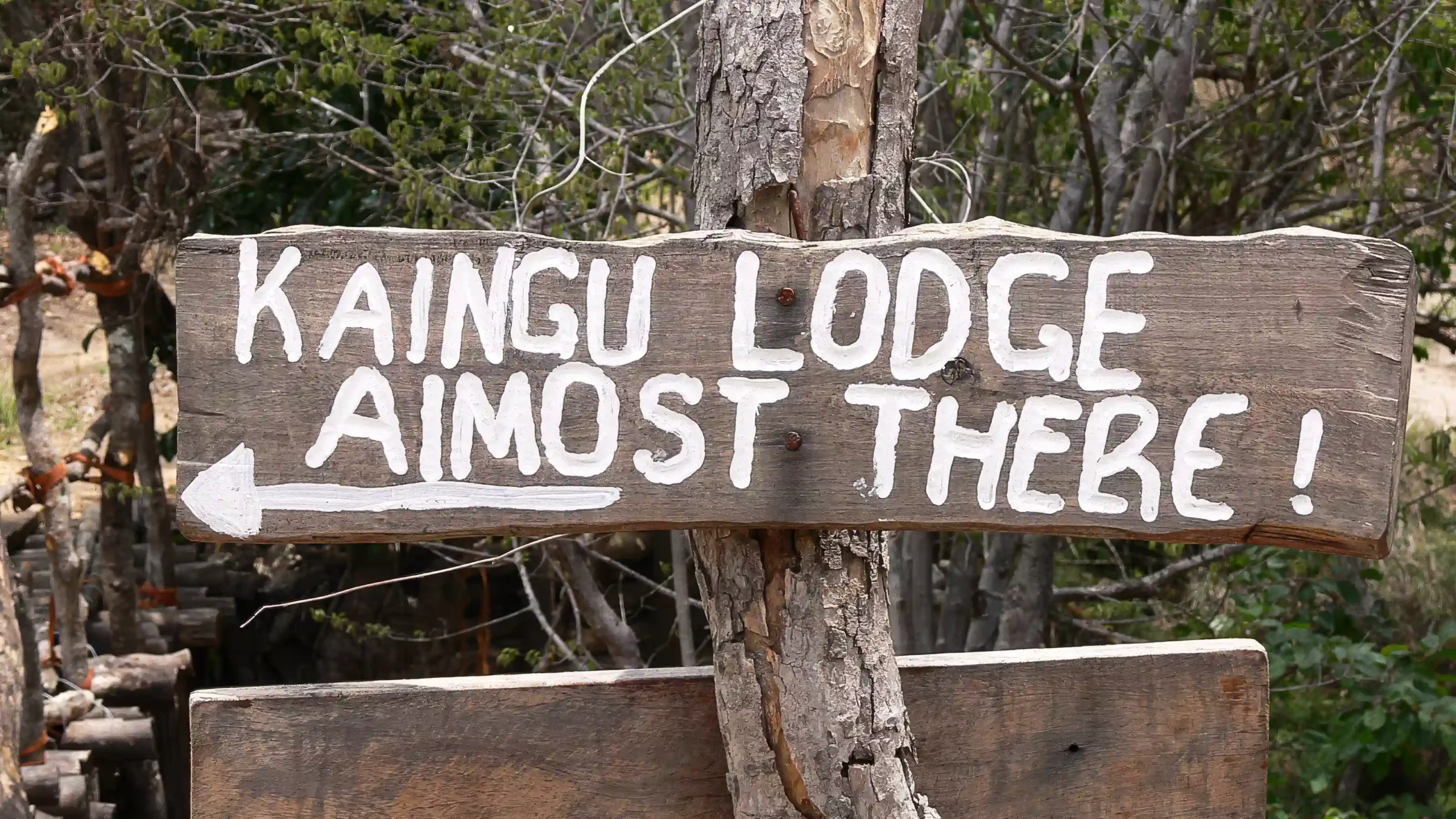 Kaingu Safari Lodge Adventures (Self Drive)